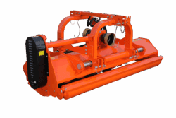 BZF